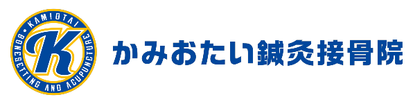 かみおたい鍼灸接骨院・テスト